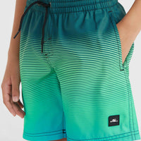 Jack O'Neill Cali Gradient 14'' Swim Shorts | Beetle Juice Simple Gradient Panel