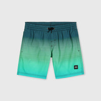 Jack O'Neill Cali Gradient 14'' Swim Shorts | Beetle Juice Simple Gradient Panel