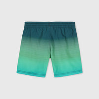 Jack O'Neill Cali Gradient 14'' Swim Shorts | Beetle Juice Simple Gradient Panel