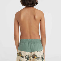 Mix and Match Cali Block 13'' Swim Shorts | Beige Venice Beach