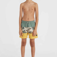 Mix and Match Cali Block 13'' Swim Shorts | Beige Venice Beach