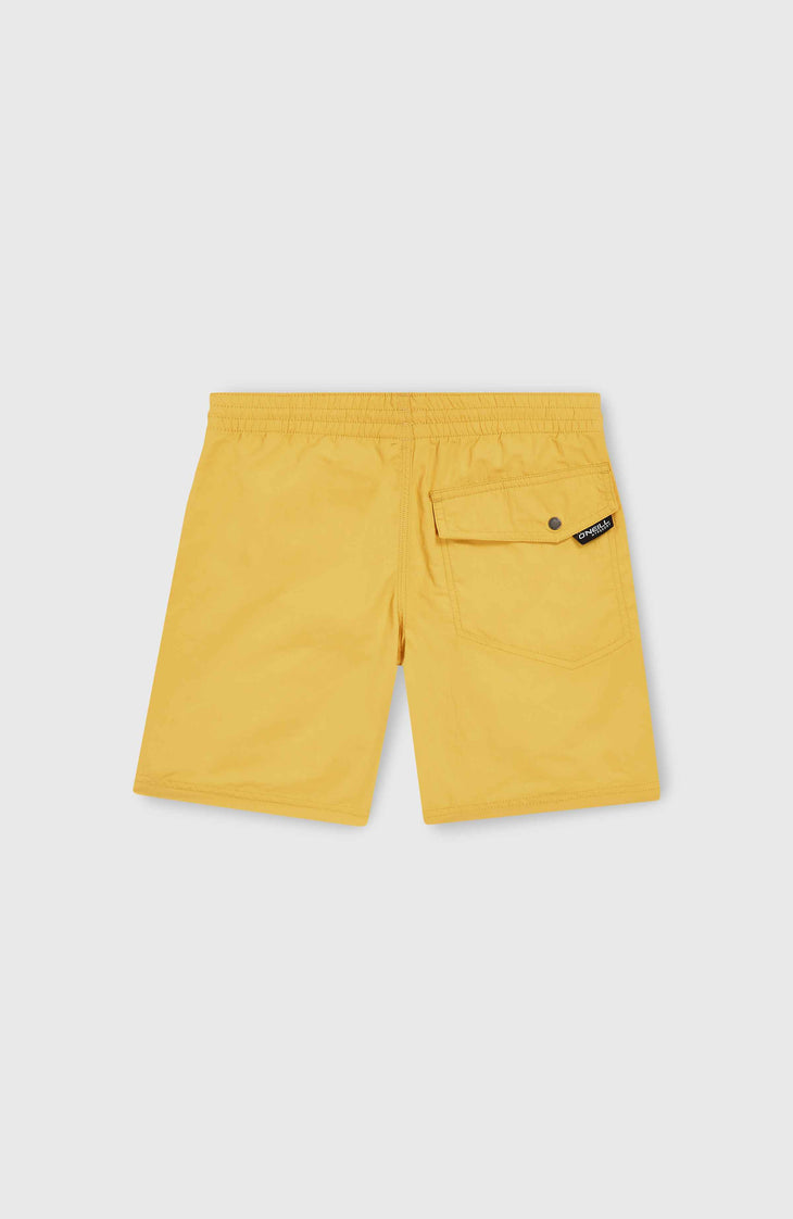 Vert 14'' Swim Shorts | Golden Haze
