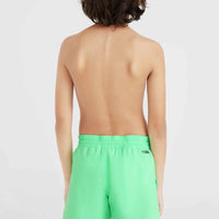 O'Riginals Cali 14'' Swim Shorts | Neon Green