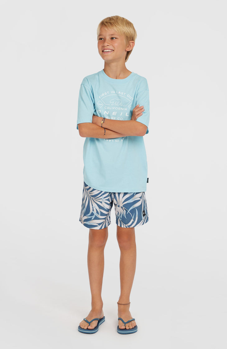 Cali 14'' Swim Shorts | Blue Dipped Leaves