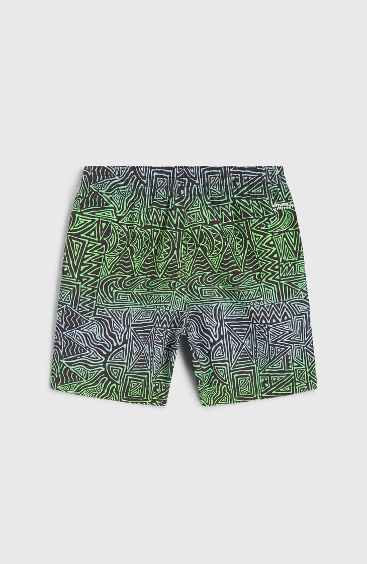 Cali 14'' Swim Shorts | Blue Gradikat