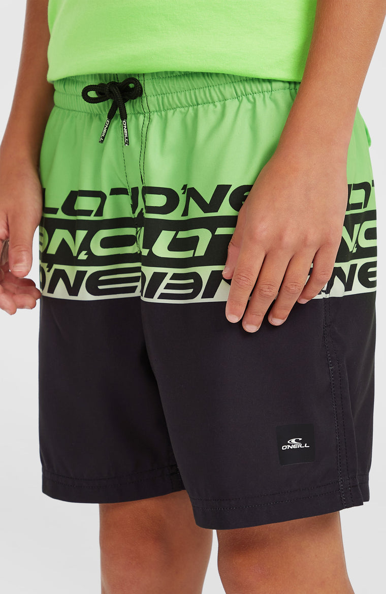 Cali Stripe 14'' Swim Shorts | Green Upside Down