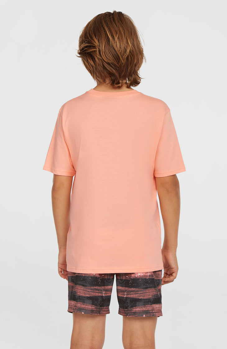 Cali Gradient 14'' Swim Shorts | Coral Melted Texture