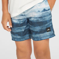 Cali Gradient 14'' Swim Shorts | Blue Melted Stripe Boys