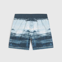 Cali Gradient 14'' Swim Shorts | Blue Melted Stripe Boys