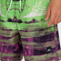 Cali Gradient 14'' Swim Shorts | Black Melted Stripe Boys