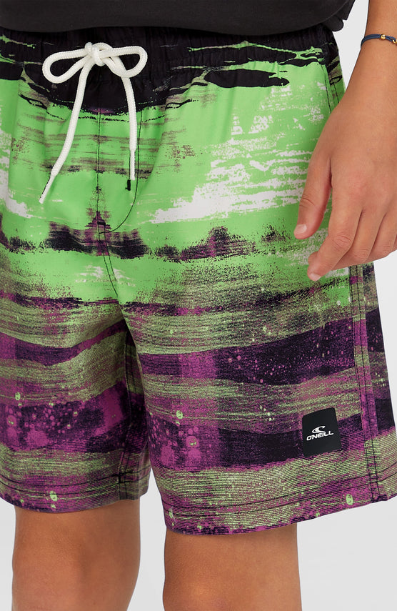 Cali Gradient 14'' Swim Shorts | Black Melted Stripe Boys
