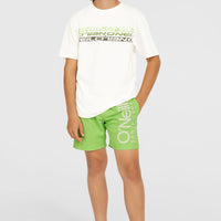 Original Cali 14'' Swim Shorts | Paradise Valley