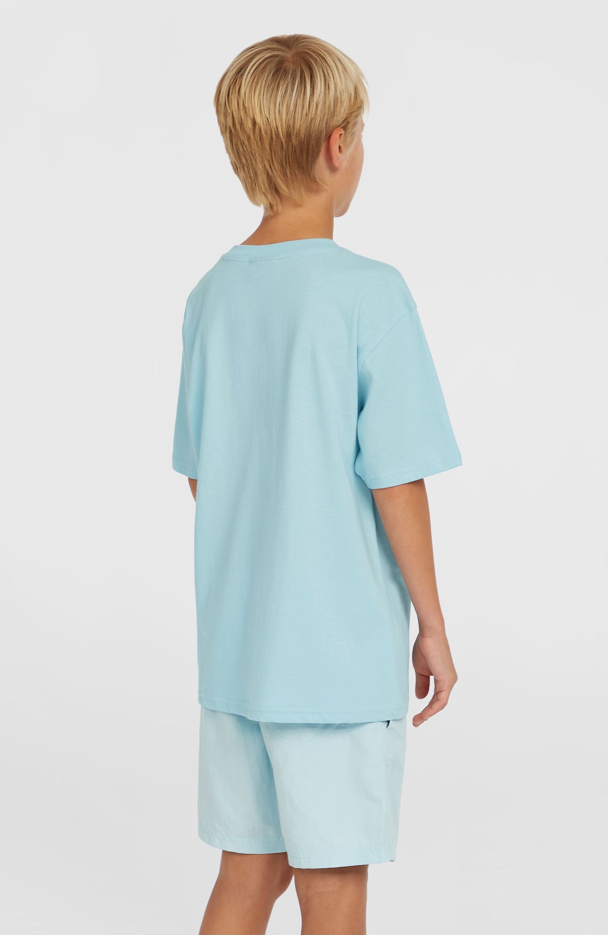 Vert 14'' Swim Shorts | Morning Glory