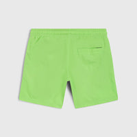 Vert 14'' Swim Shorts | Paradise Valley