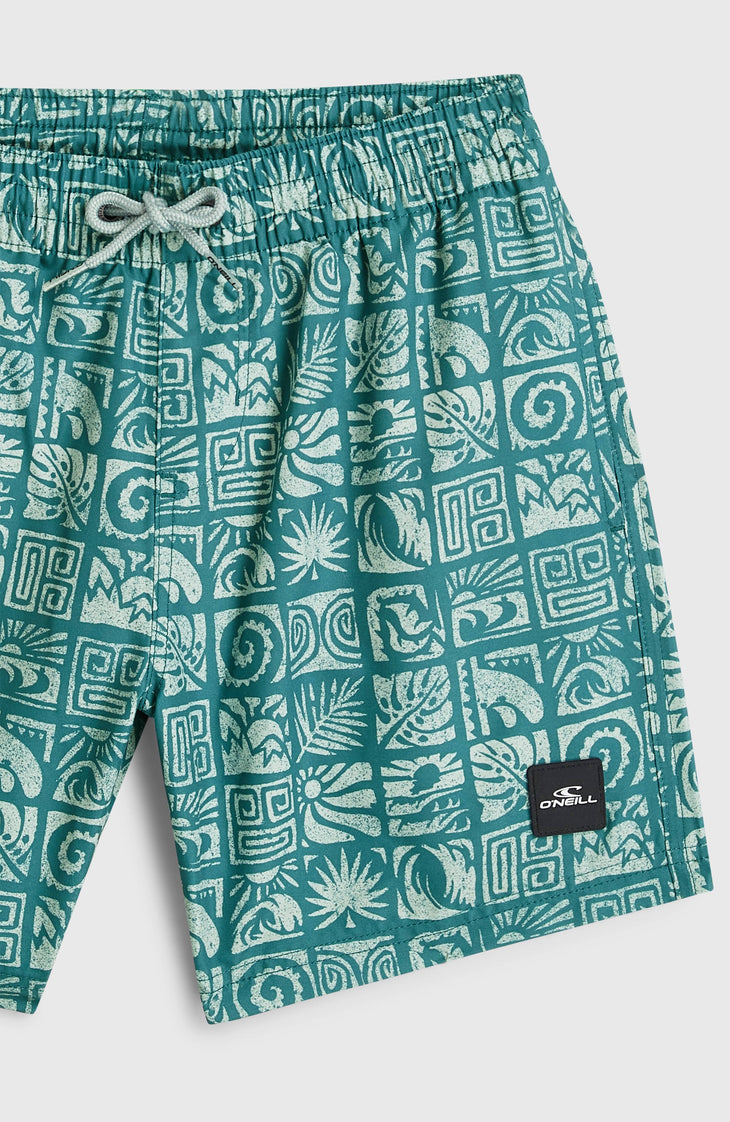 O'Neill Print Swimshorts | Blue Bricks