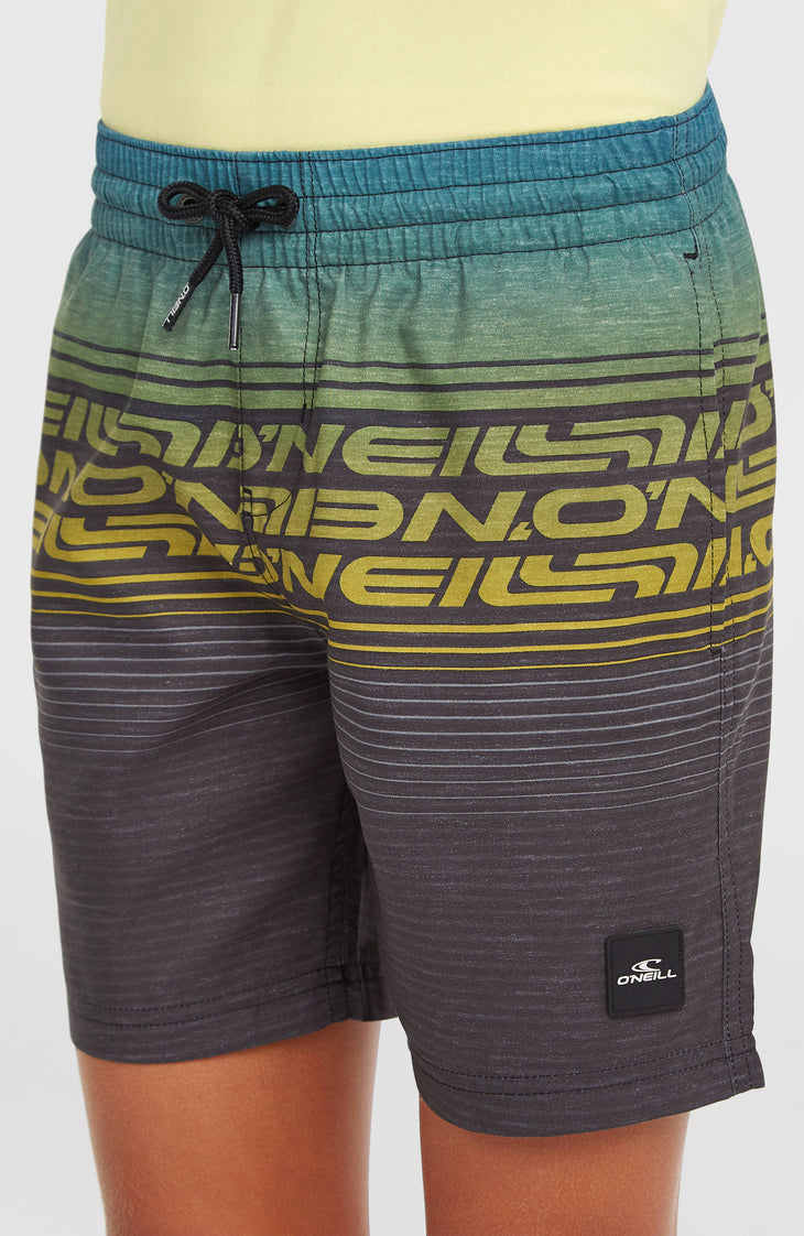 O'Neill Logo Stripe Swimshorts | Boys Blue Heritage O'Neill