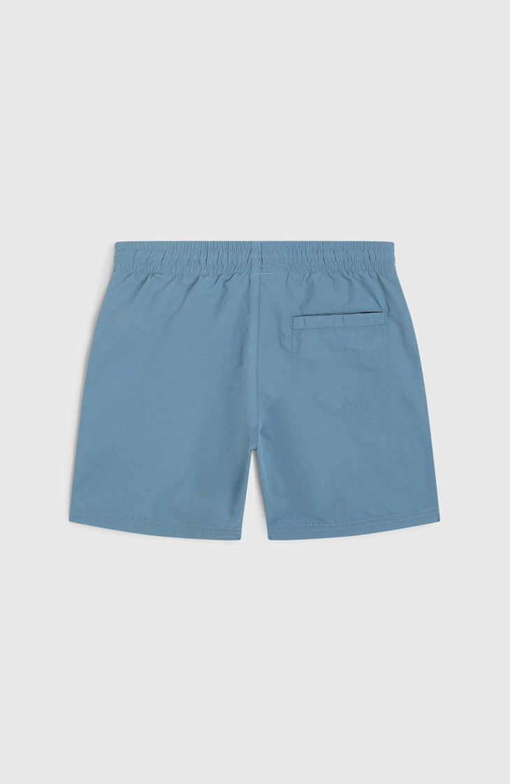 O'Neill Vert Swimshorts | Copen Blue