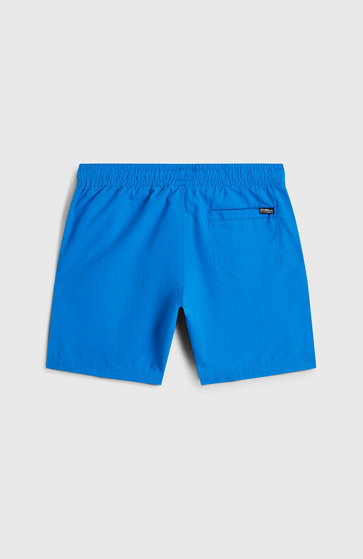 O'Neill Vert Swimshorts | Mediterranean Blue