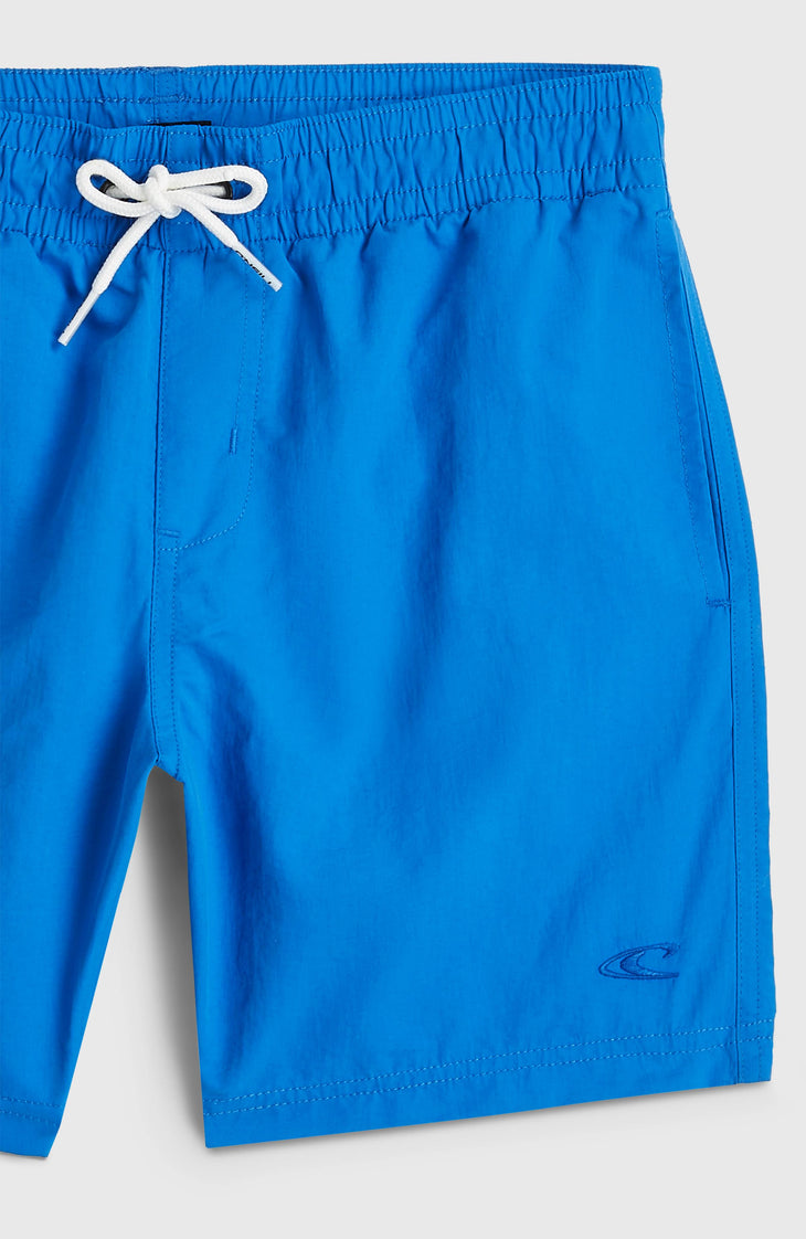 O'Neill Vert Swimshorts | Mediterranean Blue