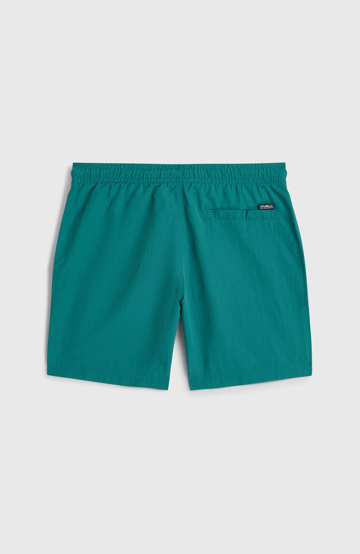 O'Neill Vert Swimshorts | Botanical Heat