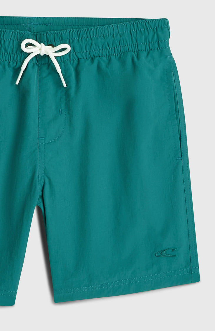 O'Neill Vert Swimshorts | Botanical Heat