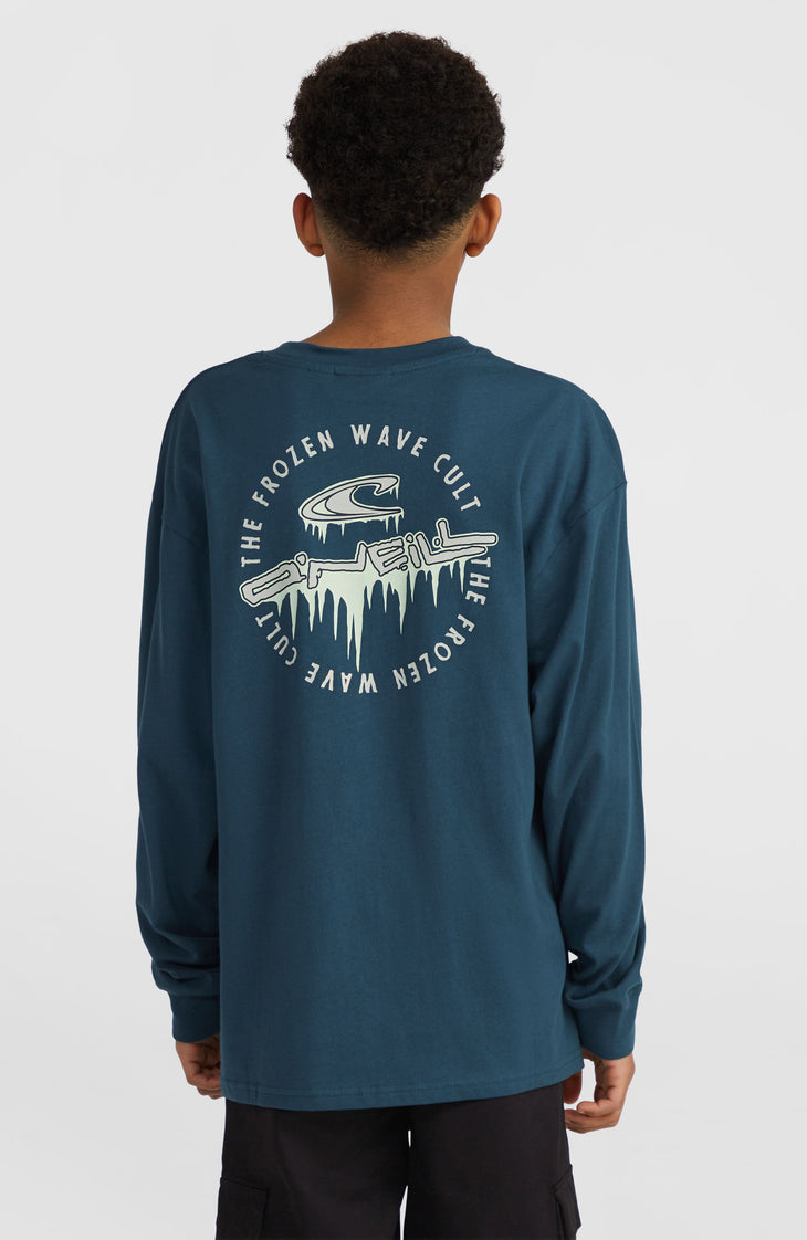 Graphic Long-Sleeve T-Shirt | Alma Steel