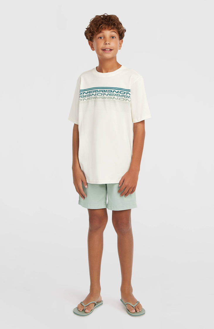O'Neill Logo Stripe T-Shirt | Snow White