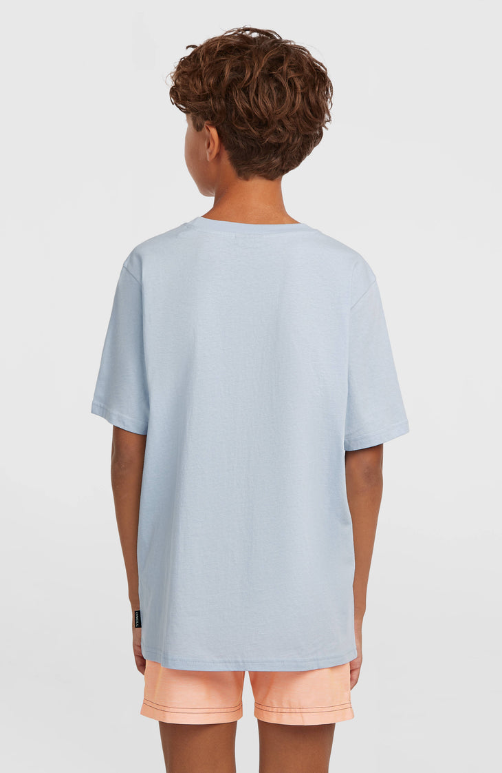 O'Neill Logo Stripe T-Shirt | Spindle