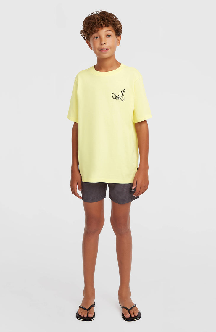 O'Neill Chest Print T-Shirt | Rainforest Dew