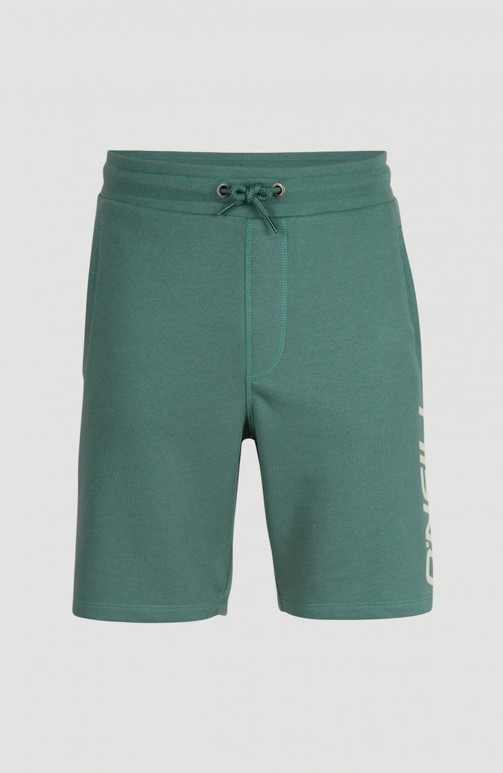 O'Neill Logo Sweatshorts | Sea Pine