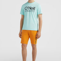 O'Neill Logo Sweatshorts | Nugget