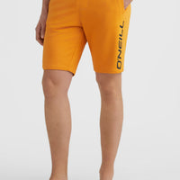 O'Neill Logo Sweatshorts | Nugget