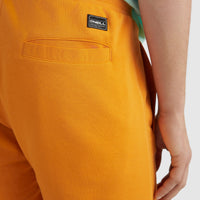 O'Neill Logo Sweatshorts | Nugget