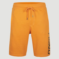 O'Neill Logo Sweatshorts | Nugget