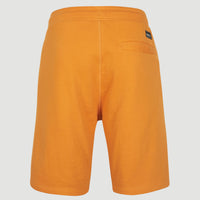 O'Neill Logo Sweatshorts | Nugget