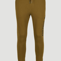 O'Neill Logo Sweatpants | Plantation