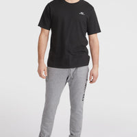 O'Neill Logo Sweatpants | Silver Melee -A