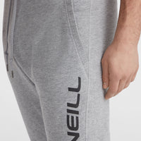 O'Neill Logo Sweatpants | Silver Melee -A