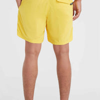 Vert 16'' Swim Shorts | Dandelion