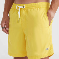 Vert 16'' Swim Shorts | Dandelion