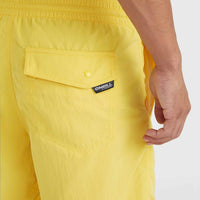 Vert 16'' Swim Shorts | Dandelion