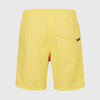 Vert 16'' Swim Shorts | Dandelion