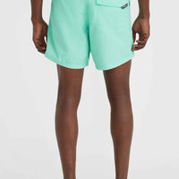 Vert 16'' Swim Shorts | Prism Pink