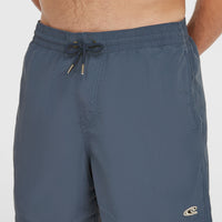 Vert 16'' Swim Shorts | Ensign Blue