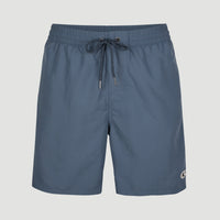 Vert 16'' Swim Shorts | Ensign Blue