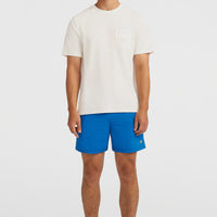 Vert 16'' Swim Shorts | Victoria Blue