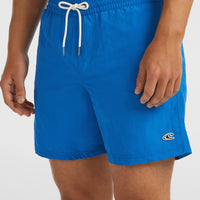 Vert 16'' Swim Shorts | Victoria Blue