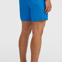 Vert 16'' Swim Shorts | Victoria Blue
