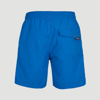 Vert 16'' Swim Shorts | Victoria Blue