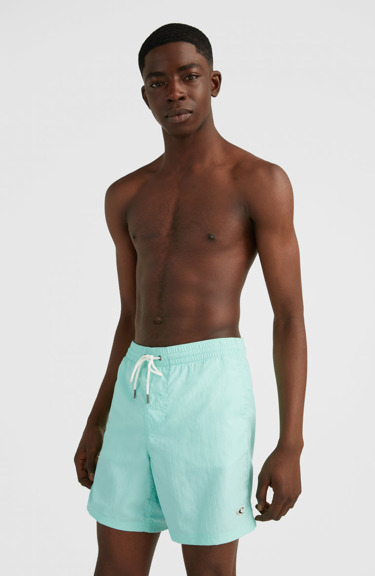 Vert 16'' Swim Shorts | Beach Glass